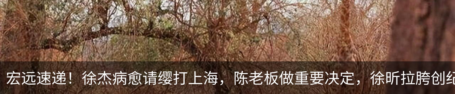 内页banner